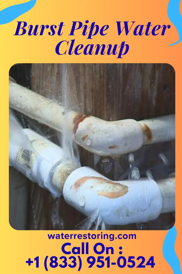 Burst Pipe Water Cleanup in North Bellport, NY