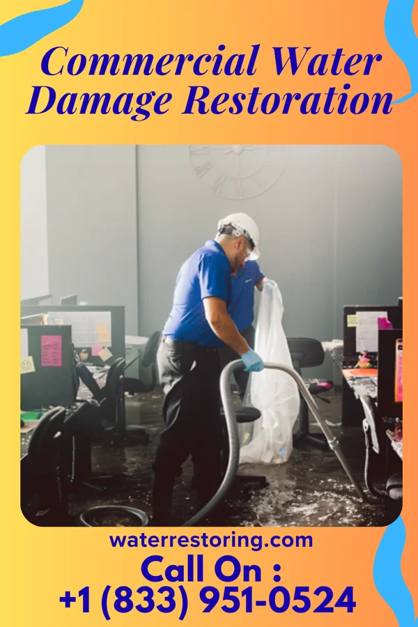 Commercial Water Damage Restoration in North Bellport, NY