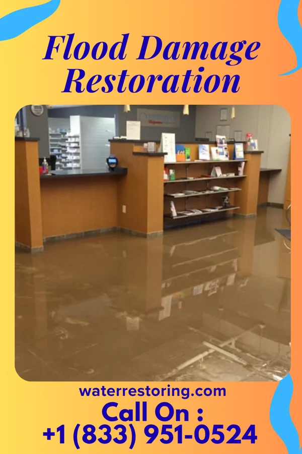 Flood Damage Restoration in North Bellport, NY
