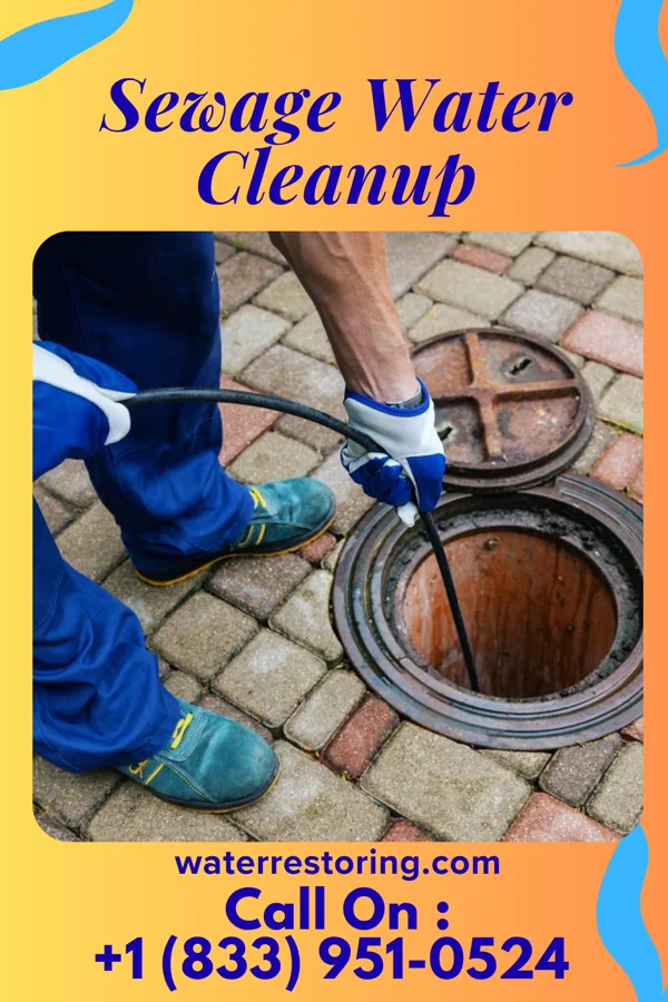 Sewage Water Cleanup in North Bellport, NY