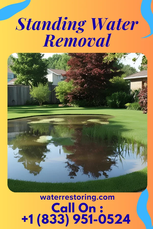 Standing Water Removal in North Bellport, NY